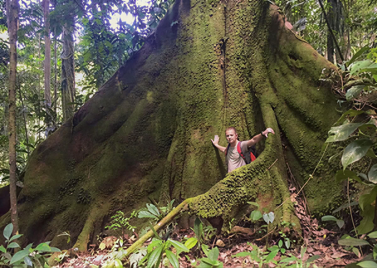 Ayahuasca-seremonia Ecuadorissa