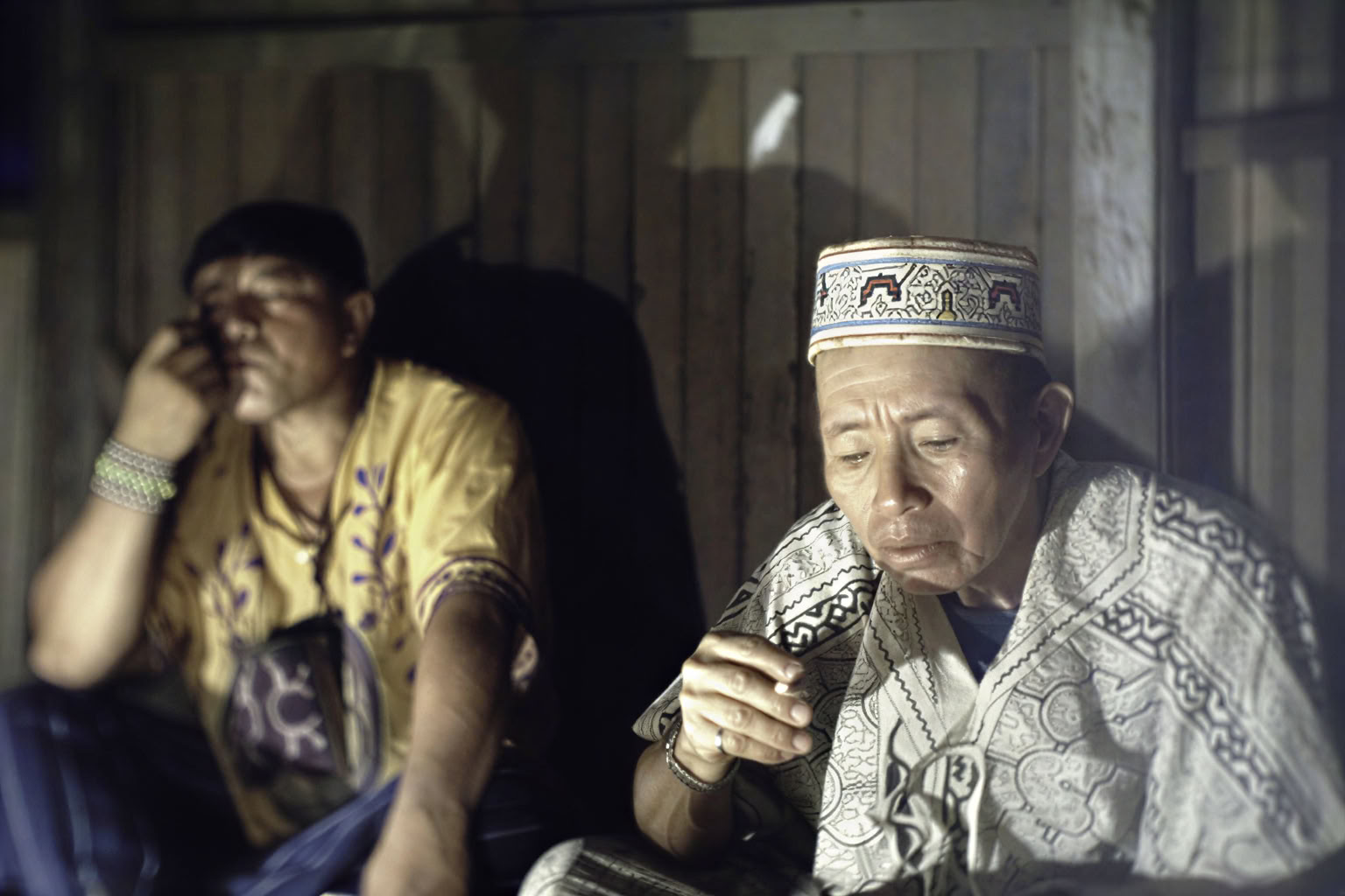 30 päivän – ayahuasca- ja mestarikasvidieetta