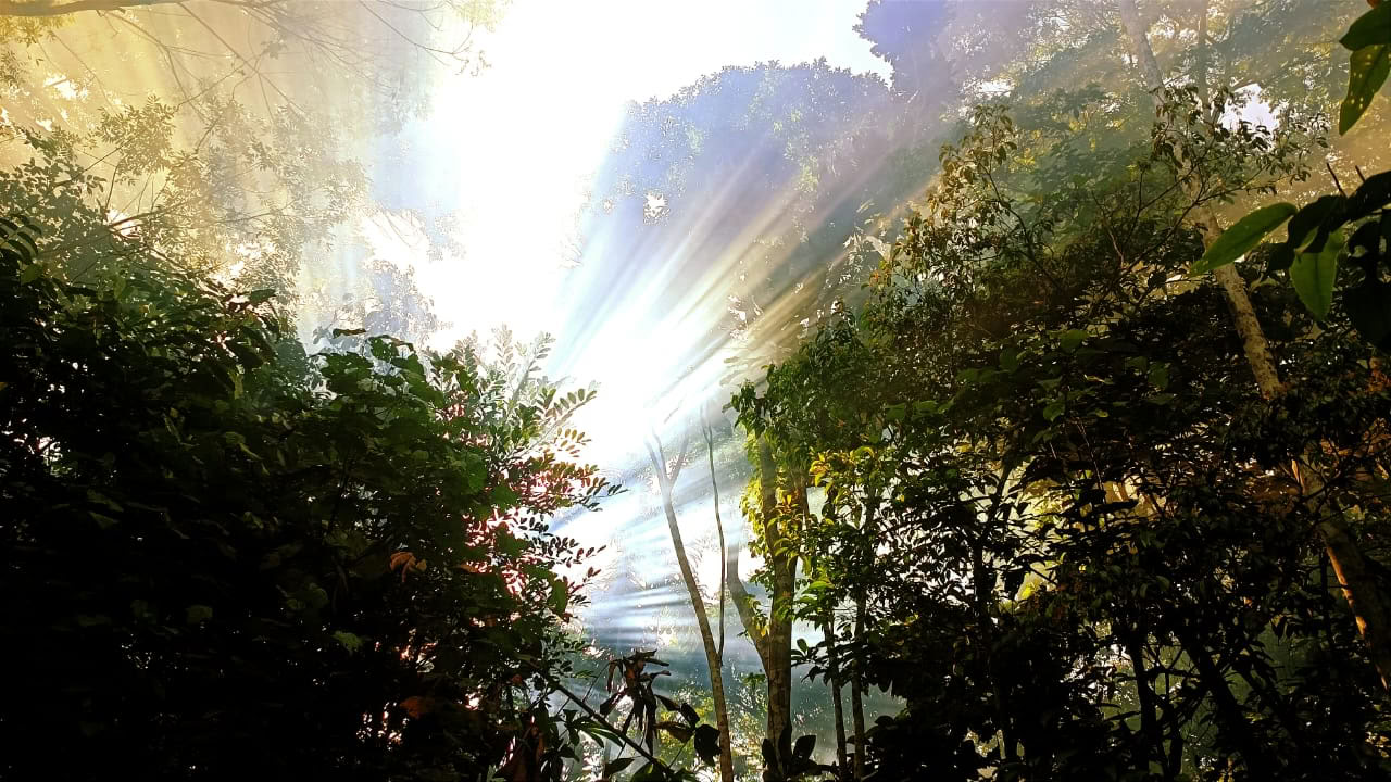 Ayahuasca ja Machu Picchu -13 päivän retriitti