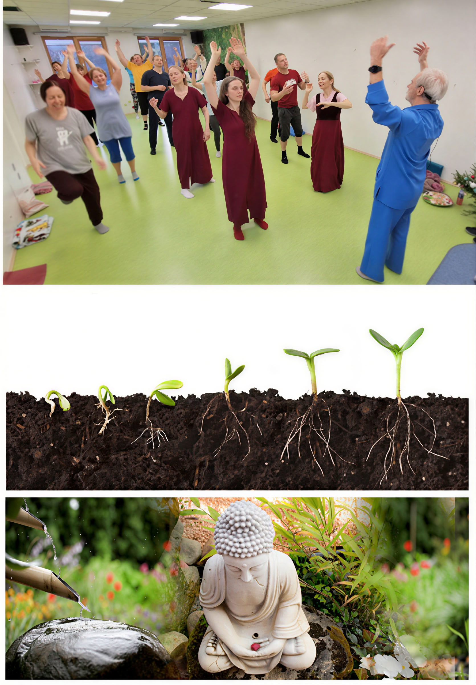Meditaatiokoulu – 8. meditaatio - kehon, mielen ja sielun ykseys