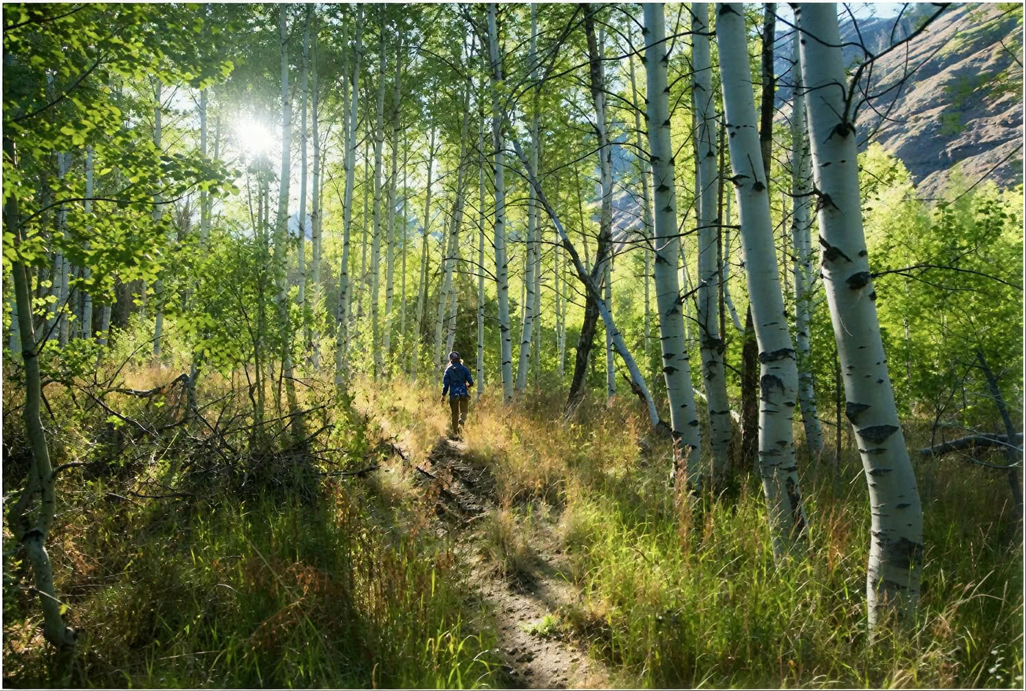 Vuoren sydämen sesshin: reppuretkisesshin Bells Mountain Dharma Centerissä