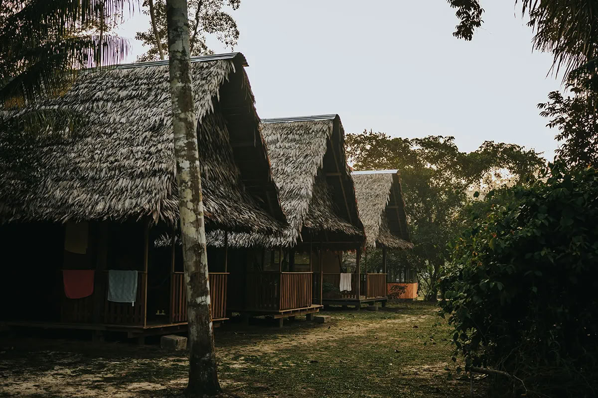 Muutosayahuasca-retriitti