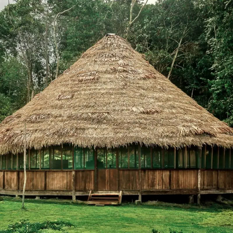Muutosayahuasca-retriitti