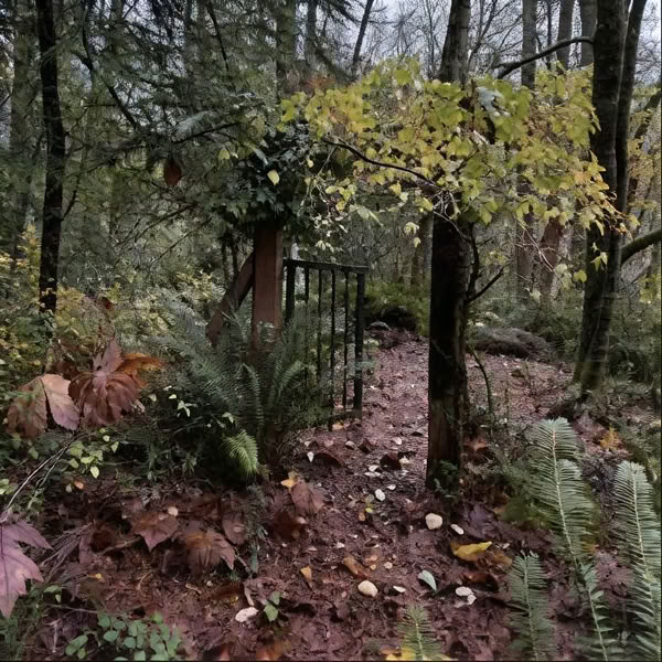 Lahjakortti