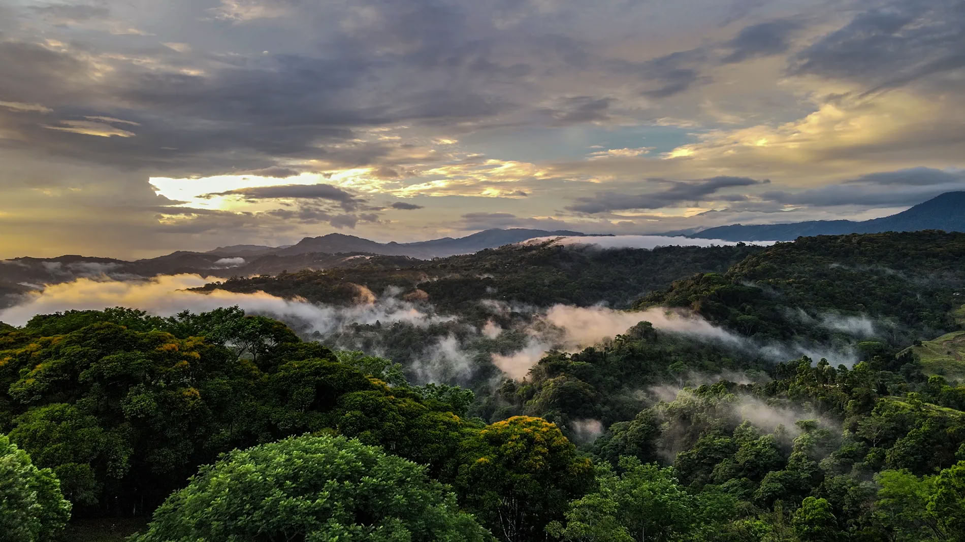 5 yön ayahuascaretriitti