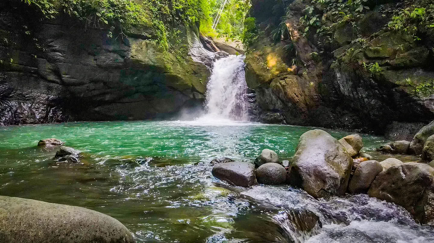 5 yön ayahuascaretriitti