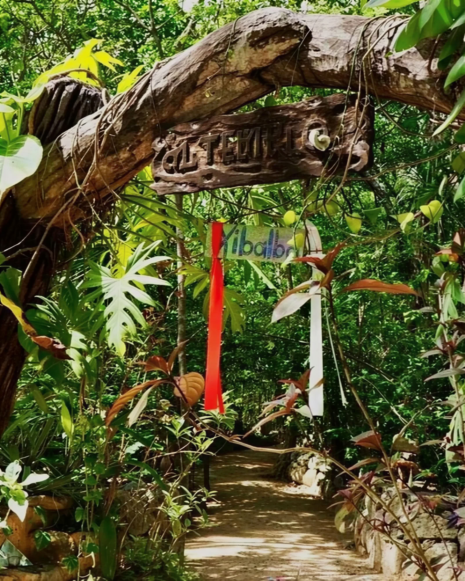 Ayahuasca-retriitti, Meksiko