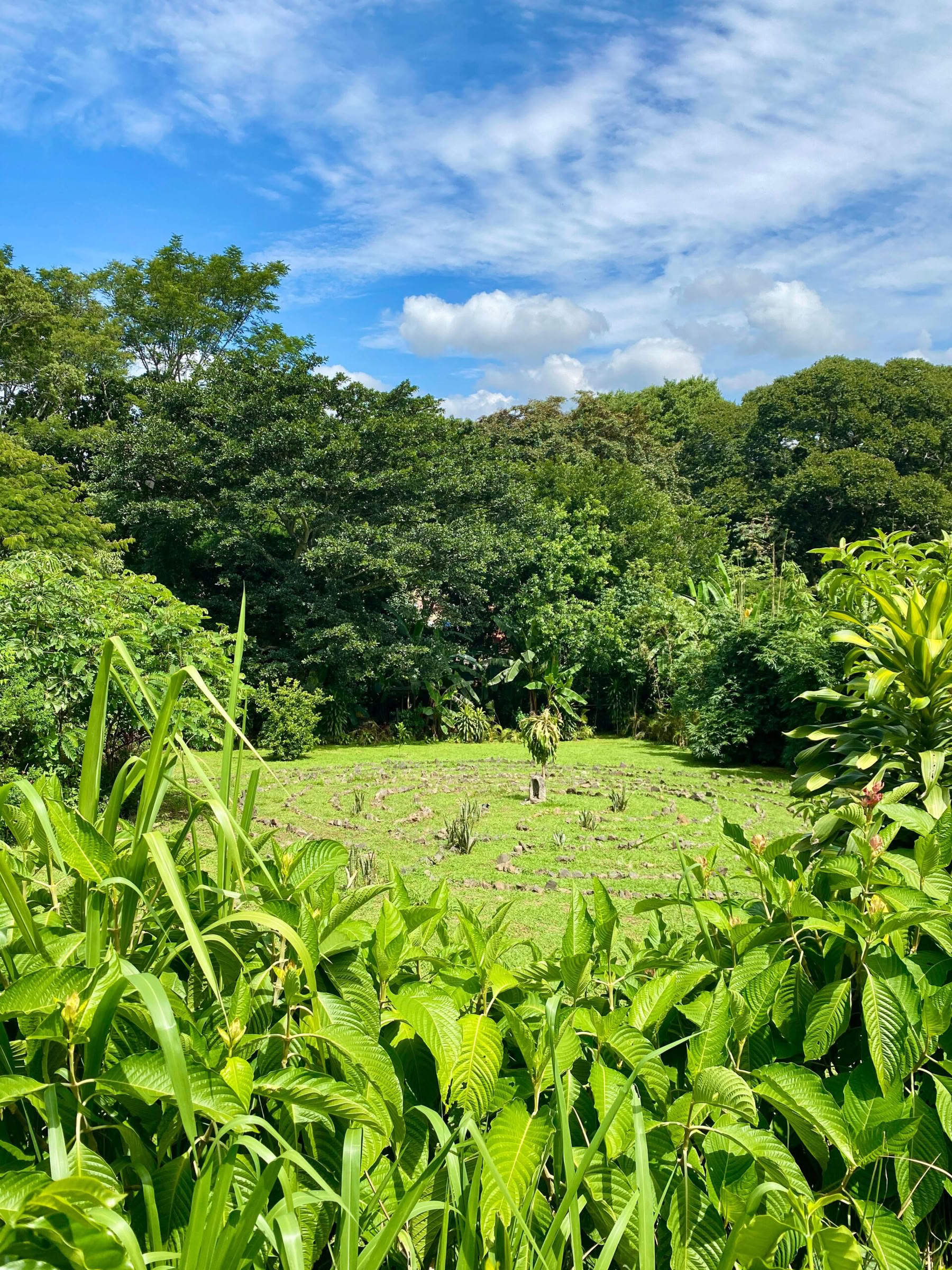 Muutosleiri 2