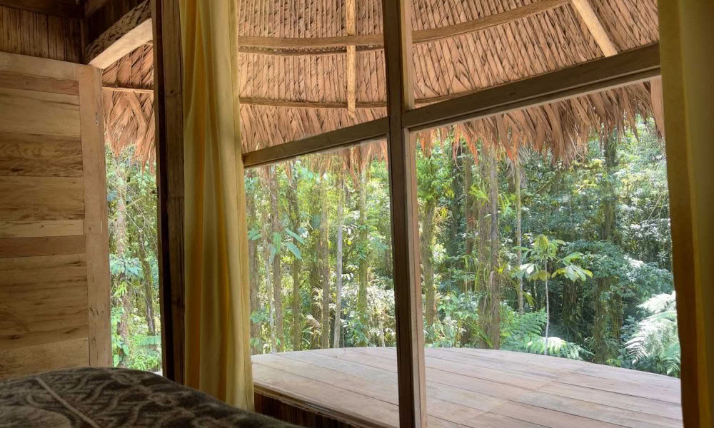 Ayahuasca-initiaatioretriitti: 7 ja 14 päivän – 10.–31. tammikuuta 2027