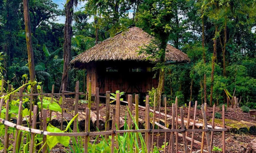 Ayahuasca-initiaatioretriitti: 7 ja 14 päivän – 10.–31. tammikuuta 2027