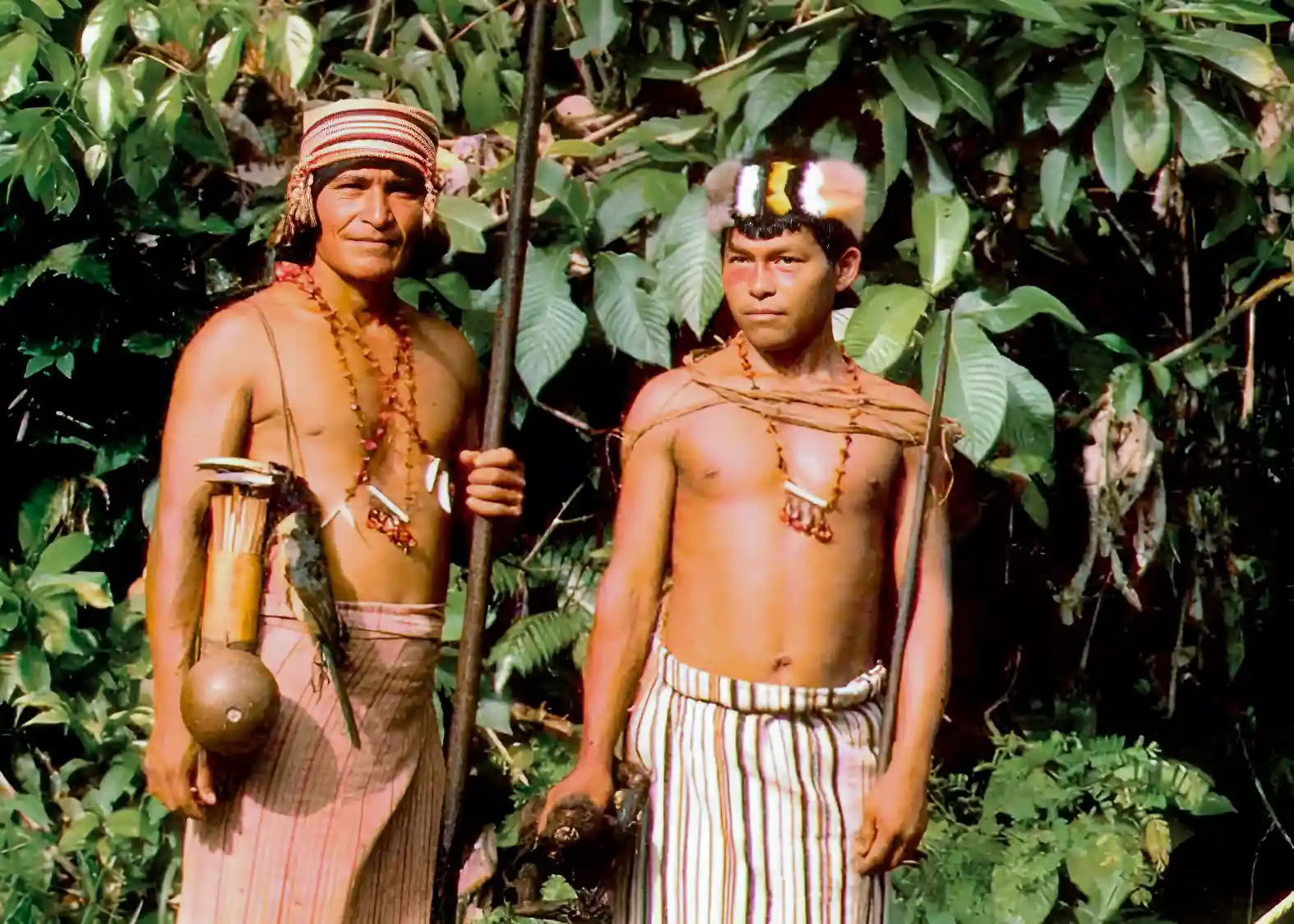Ayahuasca-initiaatioretriitti: 7 ja 14 päivän – 10.–31. tammikuuta 2027
