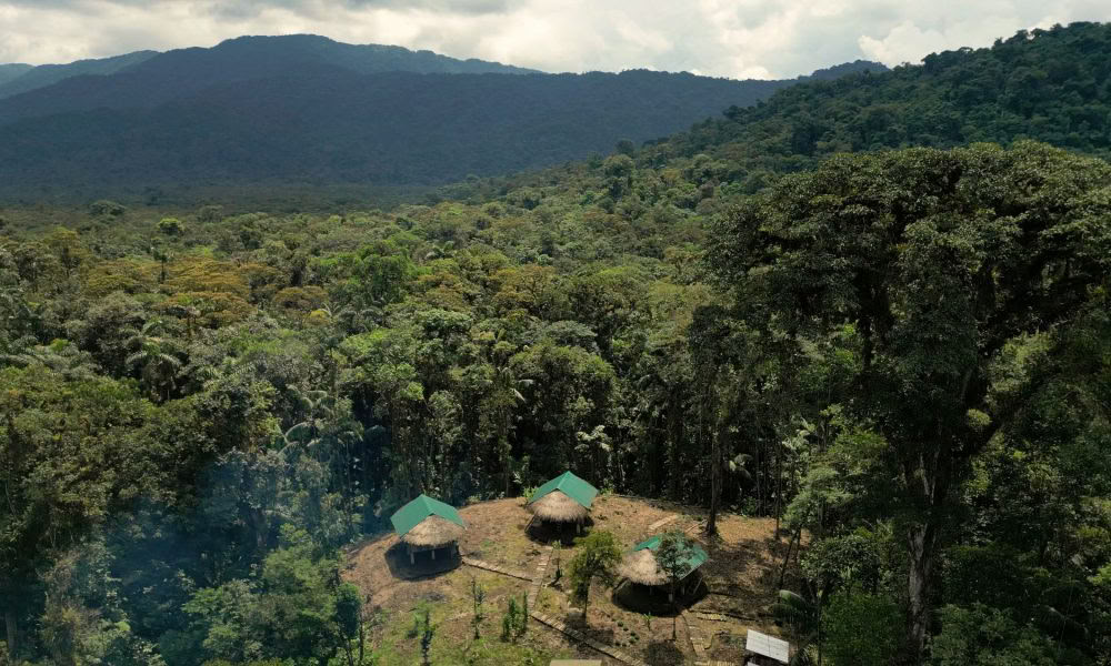 Ayahuasca-initiaatioretriitti: 7 ja 14 päivän – 3.–24. helmikuuta 2027