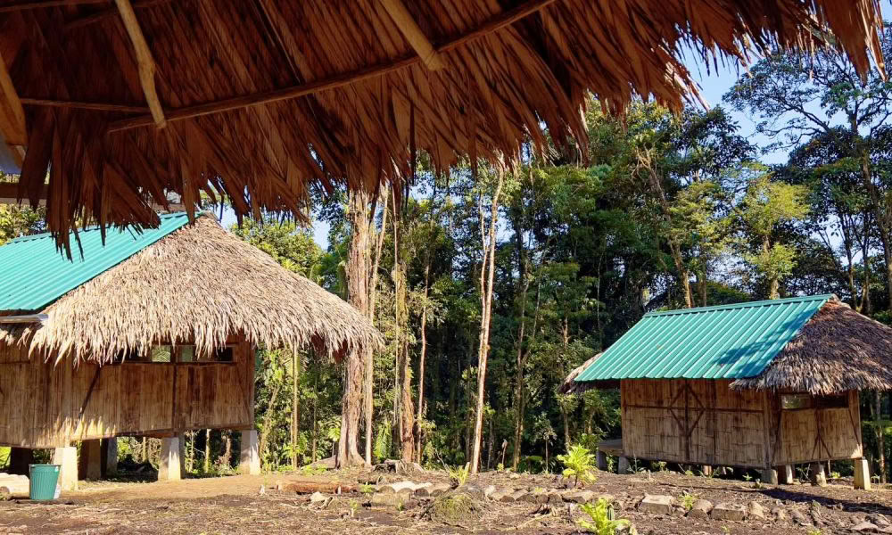 Ayahuasca-initiaatioretriitti: 7 ja 14 päivän – 3.–24. helmikuuta 2027