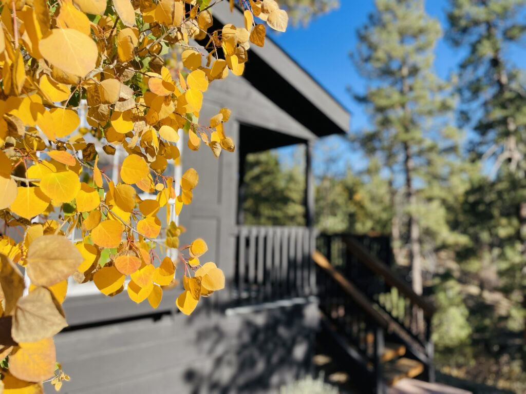 Heräämisen seitsemän tekijää