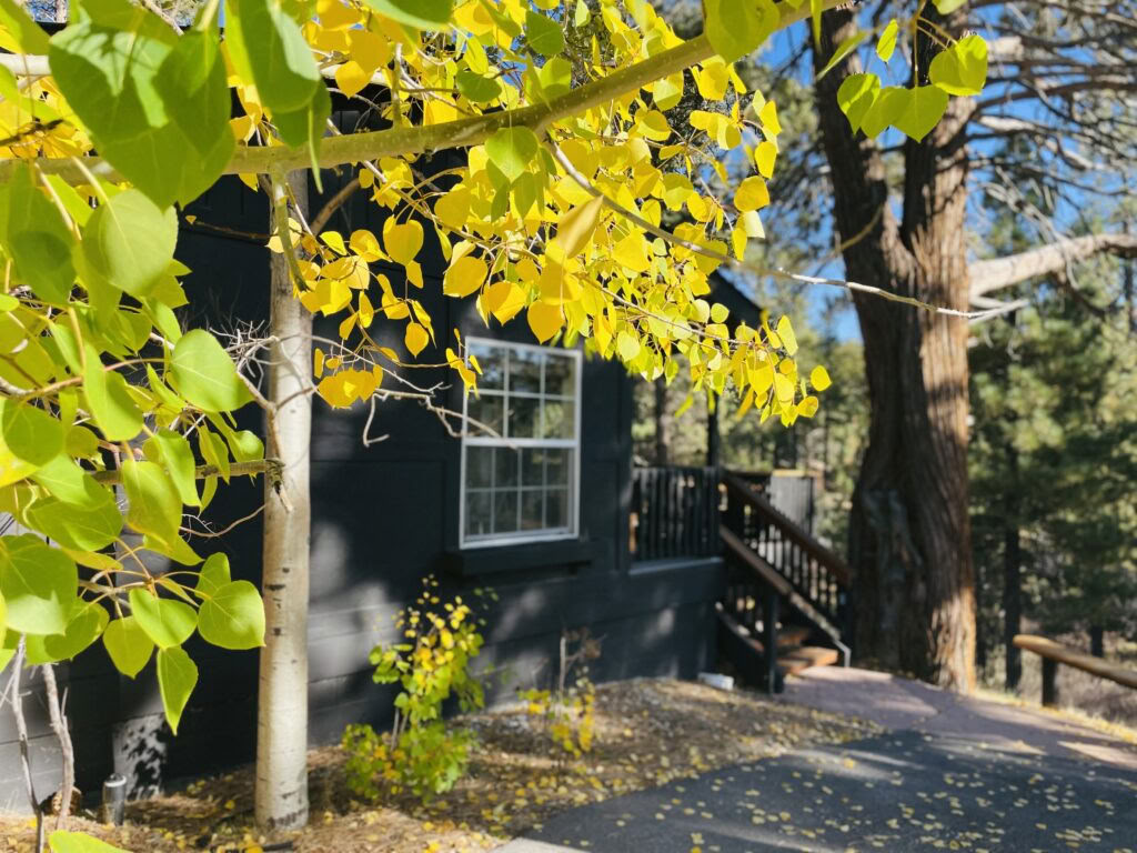Heräämisen seitsemän tekijää