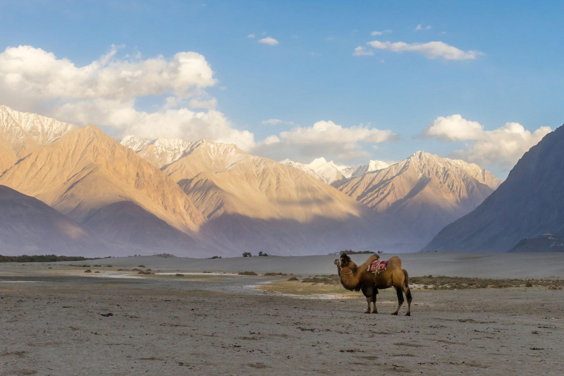 Paratiisista ylängölle: Kashmirista Ladakhiin suuntautuva automatka
