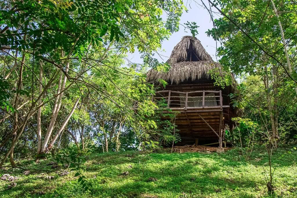 Pyhä ayahuasca-retriitti Santa Martassa, Kolumbiassa