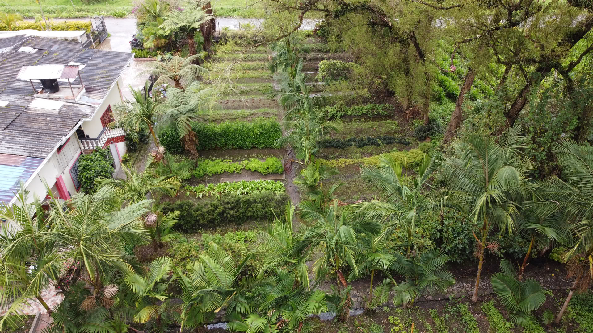 Pyhä ayahuasca-retriitti Santa Martassa, Kolumbiassa