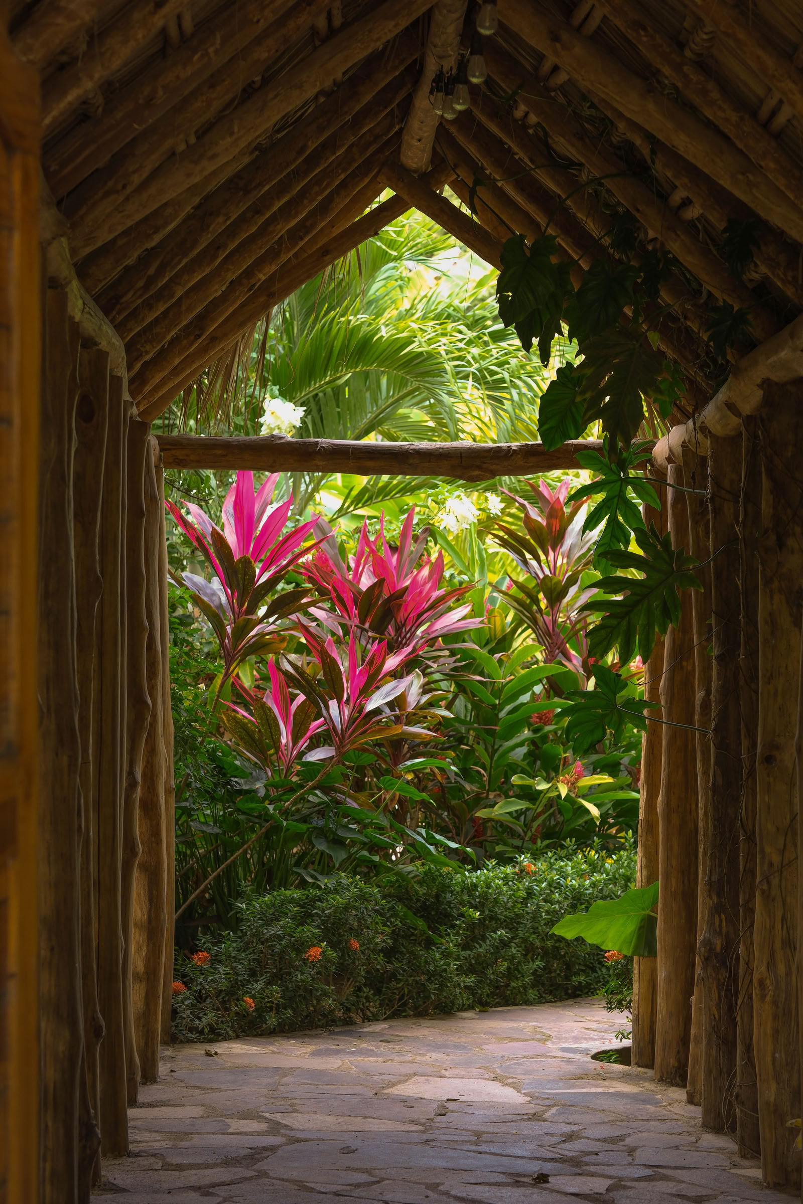 Villin Nicaraguan joogan retriitti