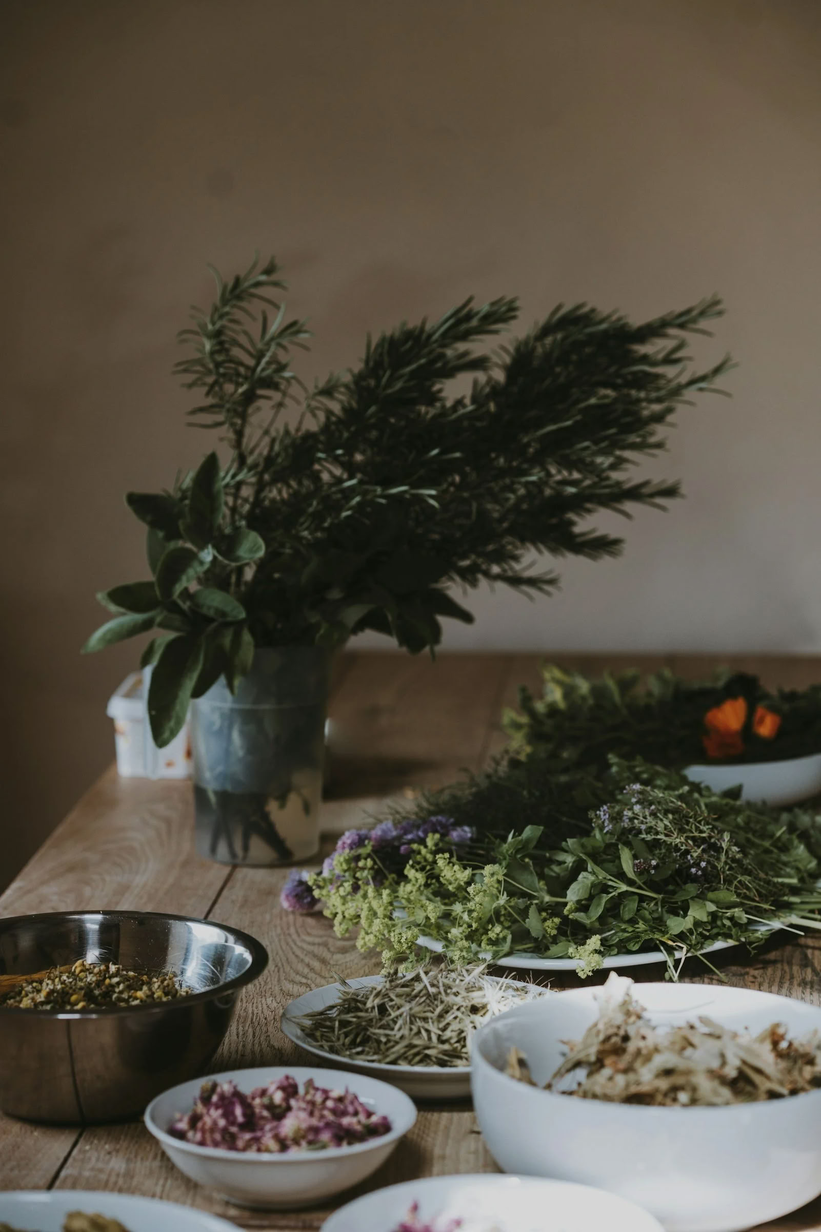 Elävä Ayurvedaretriitti