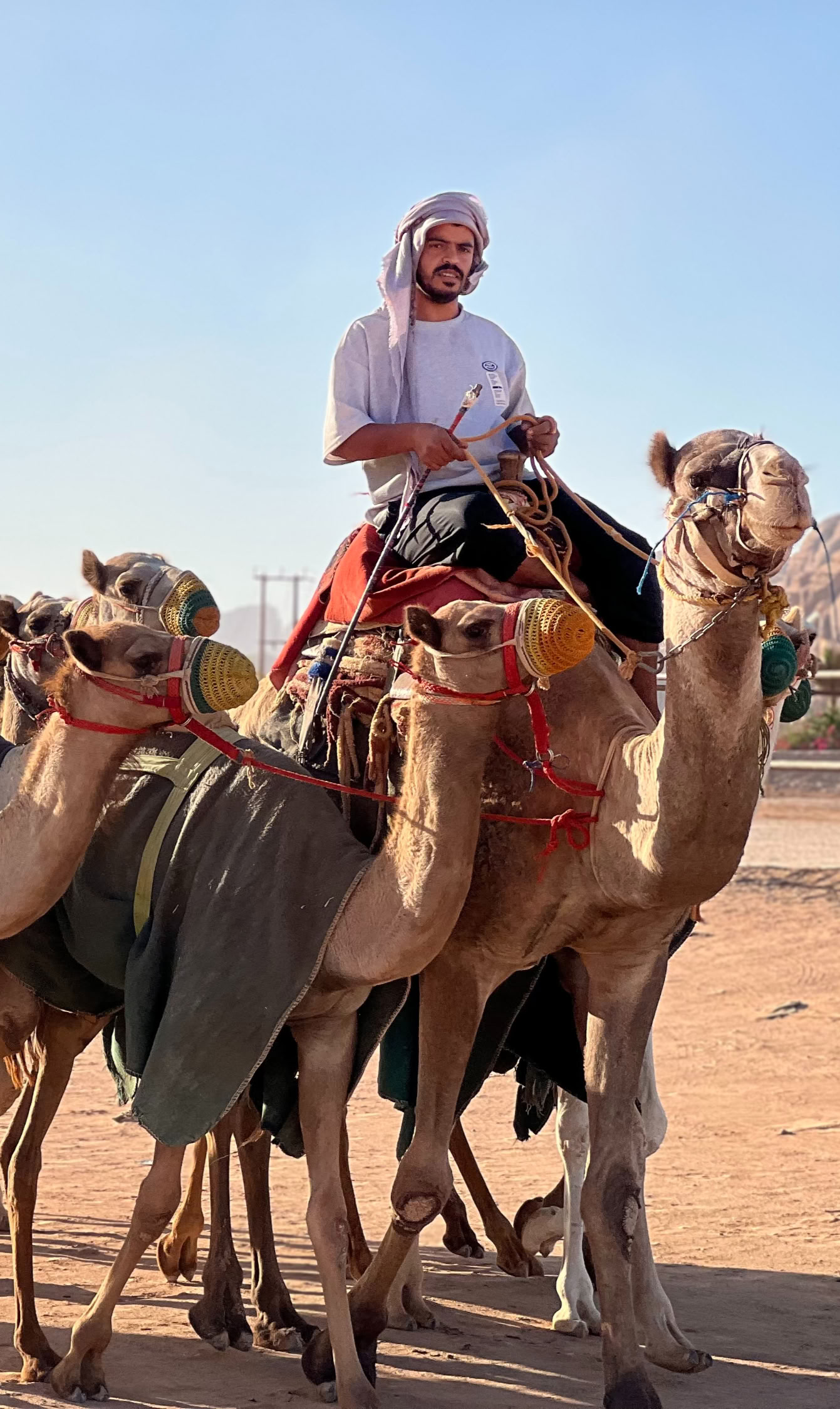 5 päivän Jordanian vaelluskierros