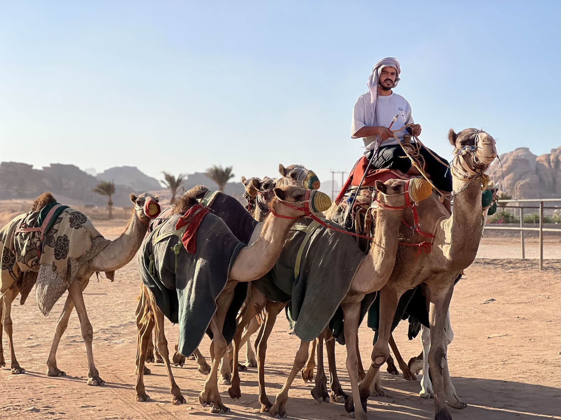 4 päivän kamelivaellus-seikkailu beduiinien kanssa Wadi Rumissa, Jordaniassa