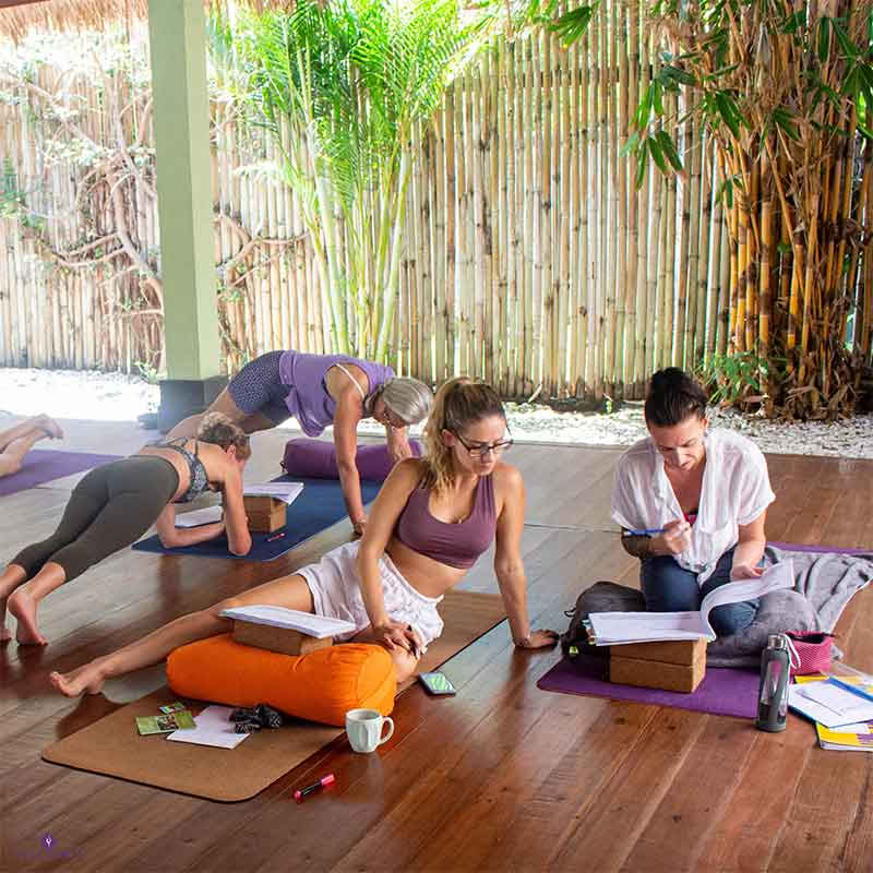 110 tunnin anatomian ja vinyasa-joogan opettajakoulutus