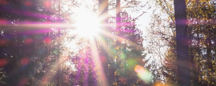 Sistertalk Retreats - Myöhäiskesän hehku: mineraali- ja luonnonelementtiretriitti — Wild Nature Retreats