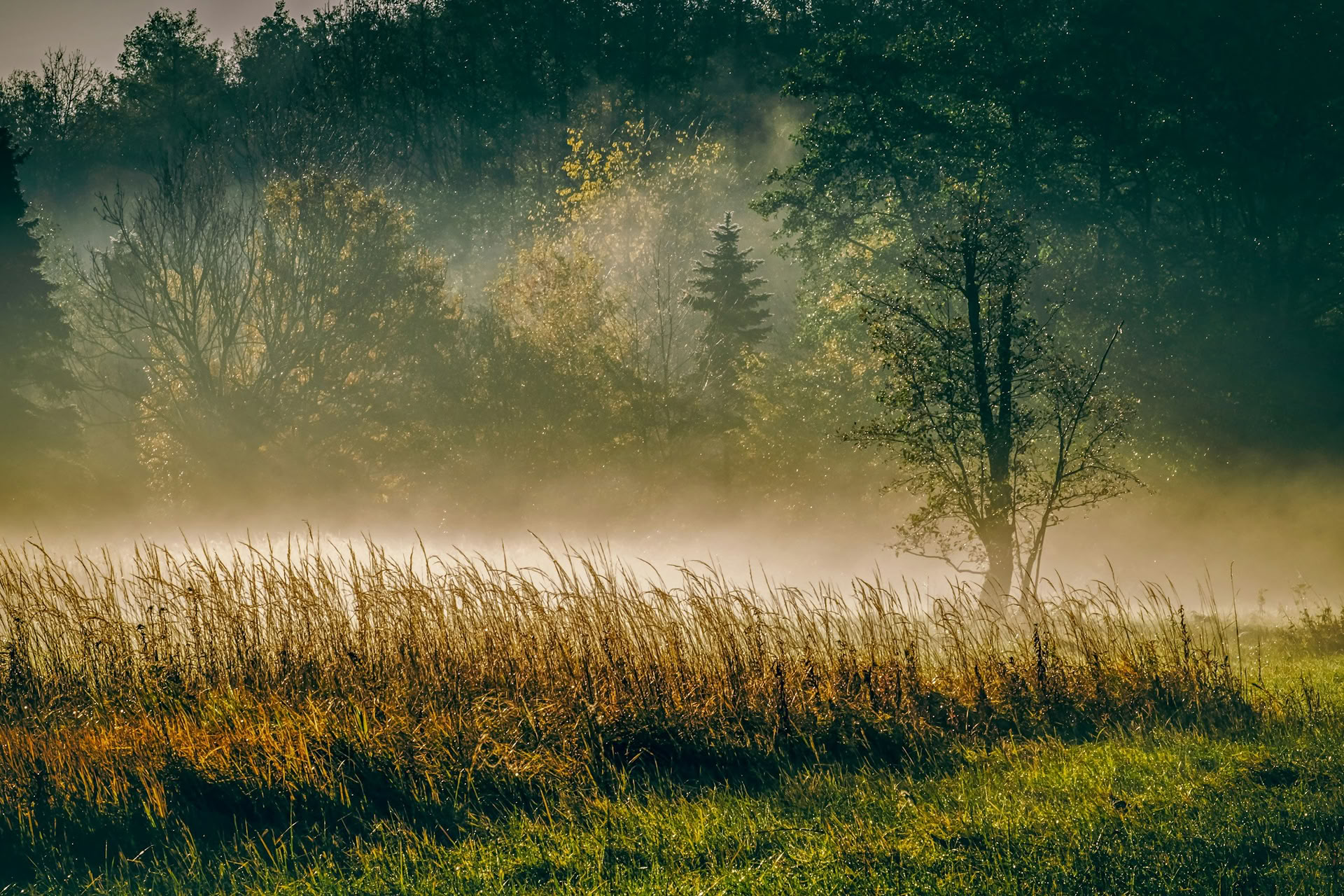 ForREST Retreat: Syksyn Maadoittava Viikonloppu — Wild Nature Retreats