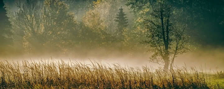 ForREST Retreat: Syksyn Maadoittava Viikonloppu — Wild Nature Retreats