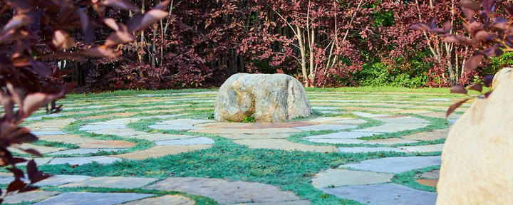 Punainen lanka: Kansainvälinen Qigong-instituutti | Todellinen luonto - Carbondale, CO