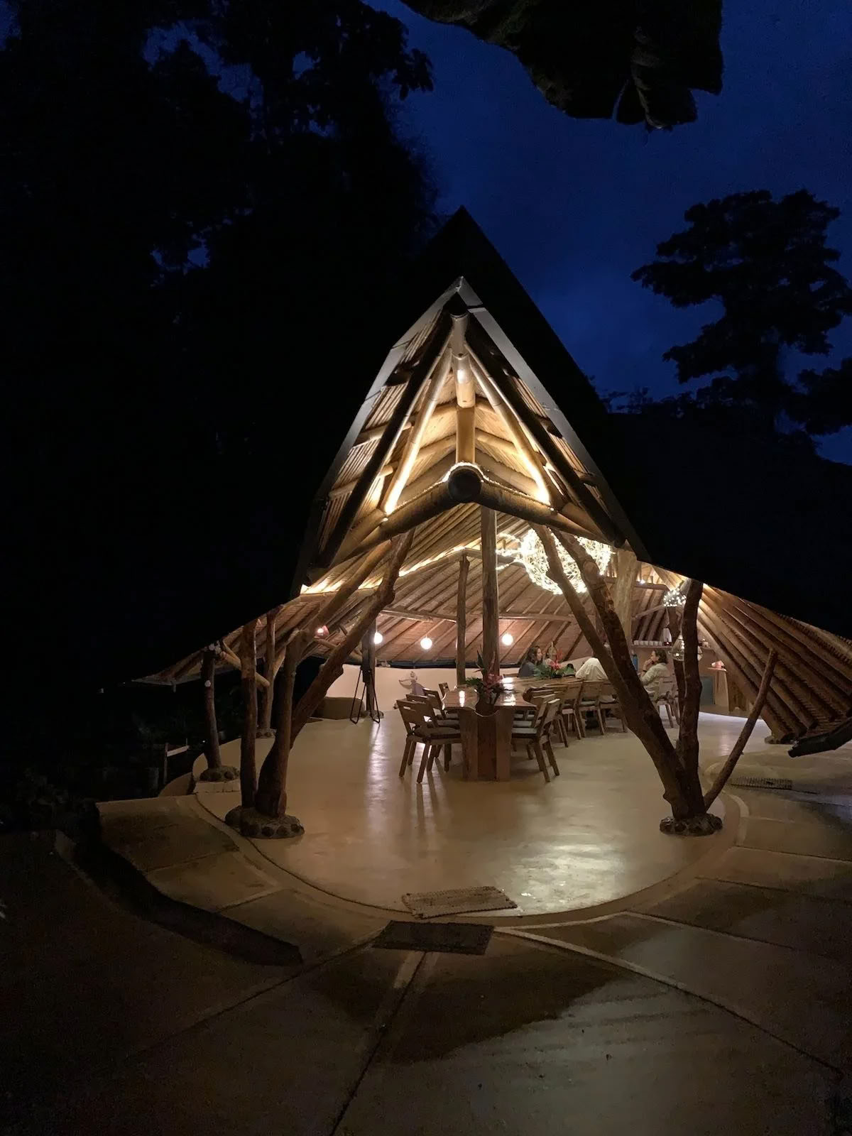 IPSALU Tantra Kriya Jooga I Taso 2 Kobrakeuhkohengitys — Brave Earth