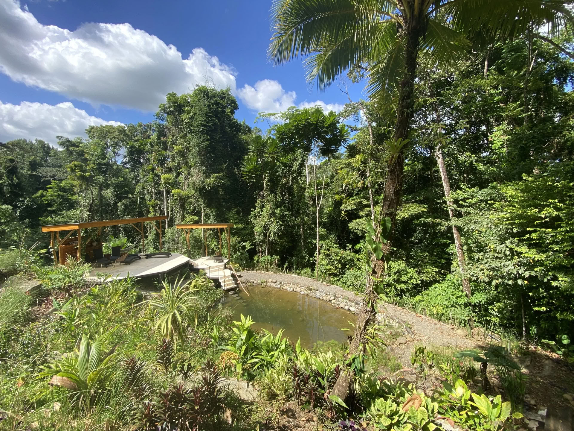 IPSALU Tantra Kriya Jooga I Taso 2 Kobrakeuhkohengitys — Brave Earth