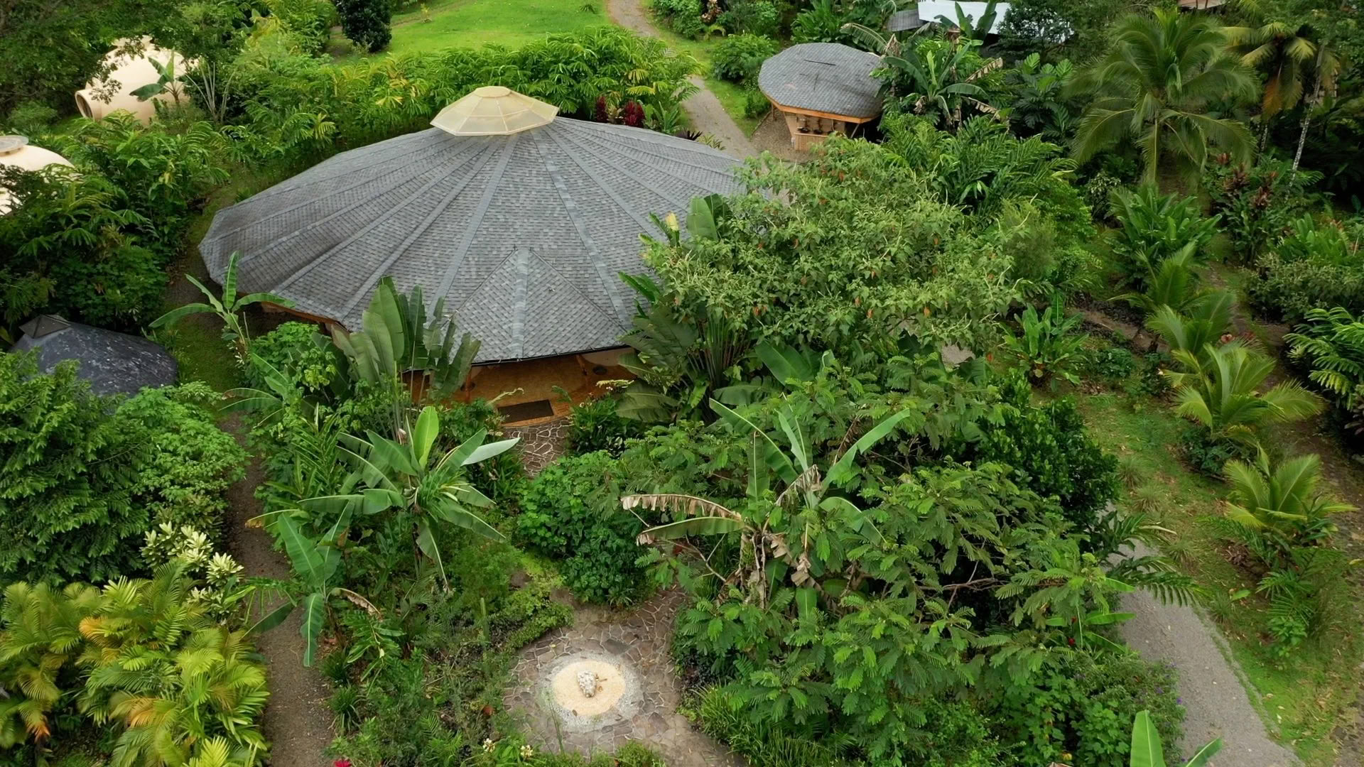 IPSALU Tantra Kriya Jooga I Taso 2 Kobrakeuhkohengitys — Brave Earth