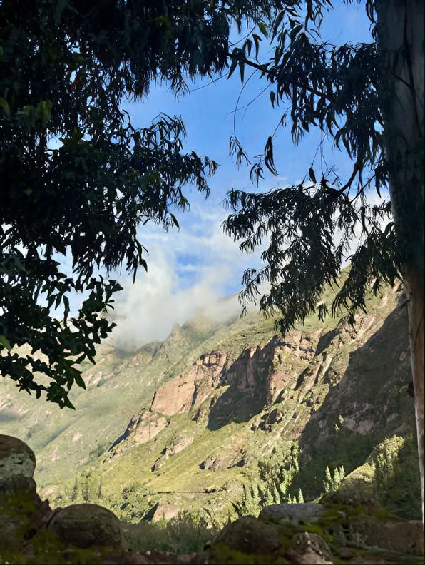 Ayahuascaseremonia