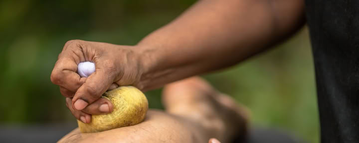 10 päivän kurssi: Kouluttaudu ayurveda-terapeutiksi, Sri Lanka