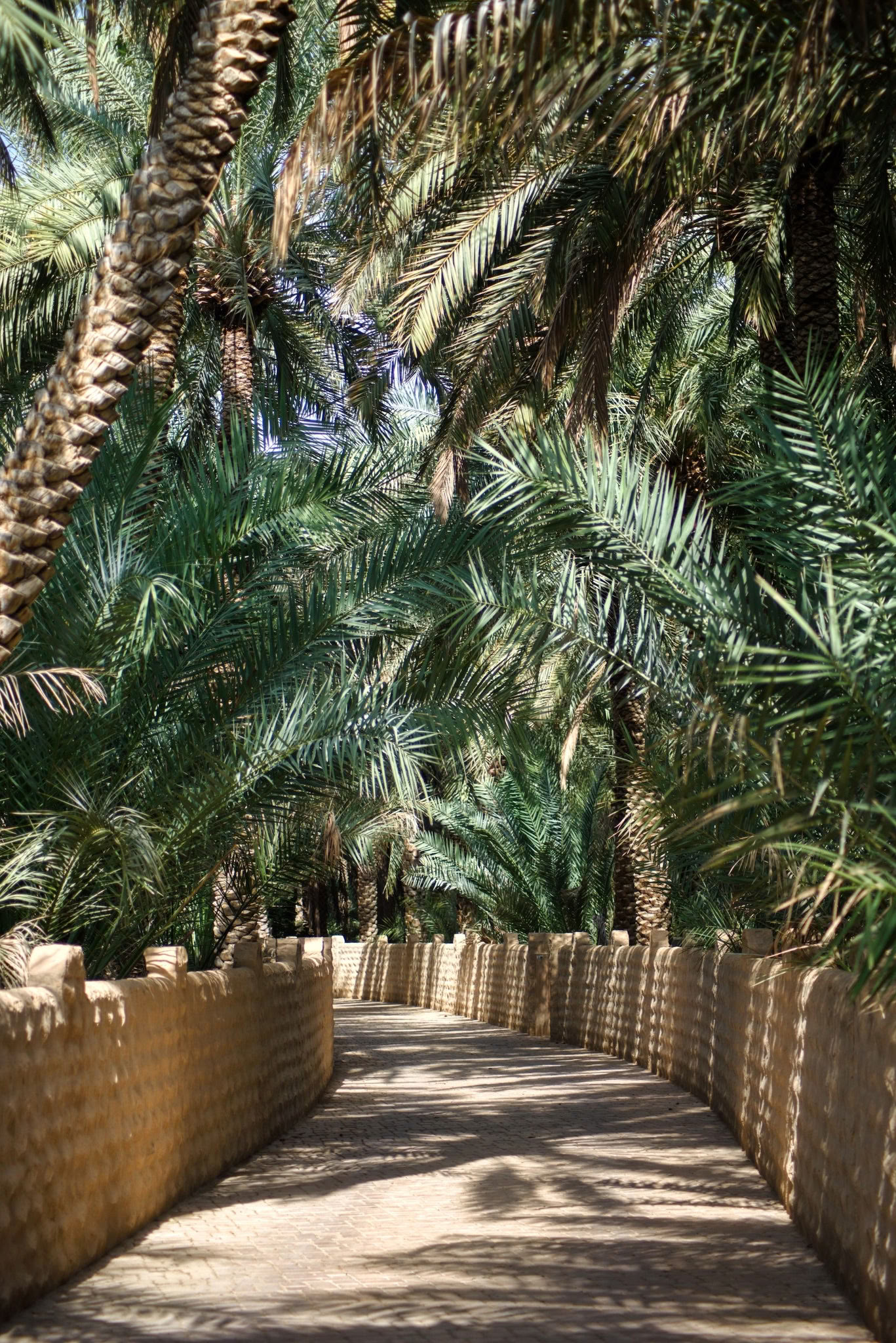 Kaakao-seremonia - Palm Springs