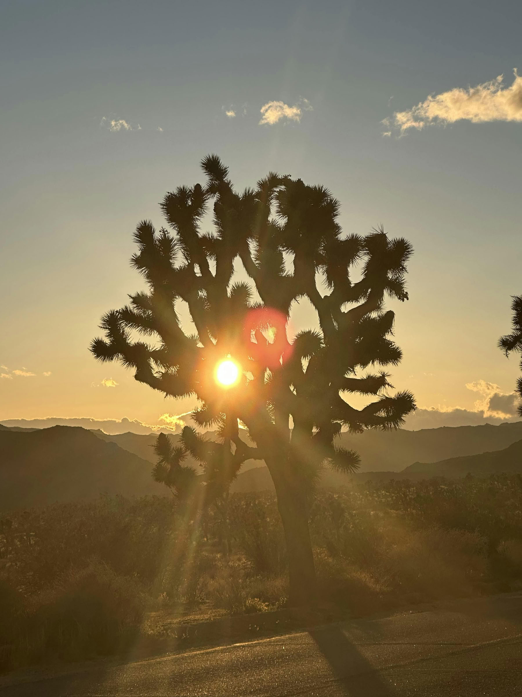 Aavikon parantava hengitystyökokemus - Palm Springs