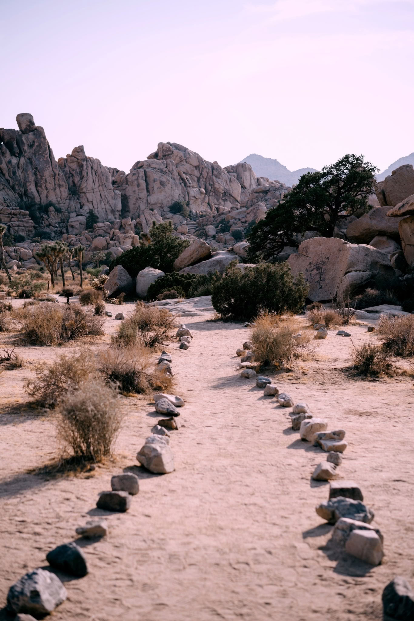 Taivaallinen itsensä löytäminen - Palm Springs