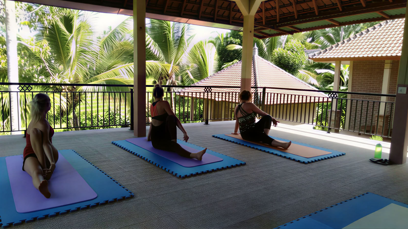 BALIGRASS - Itseparantuminen muinaisen viisauden ja meditaation avulla