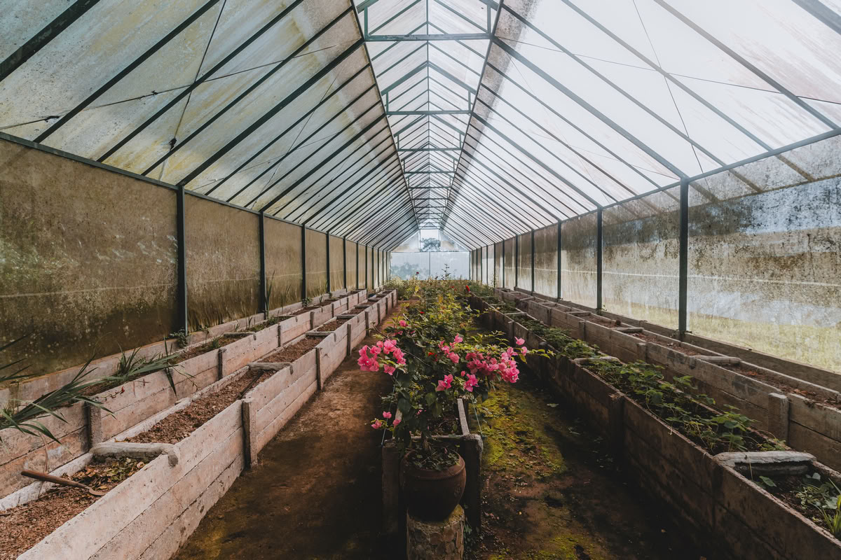 200 tunnin / 300 tunnin hybridijoogaopettajakoulutus – 26.11. – 9.12.2026