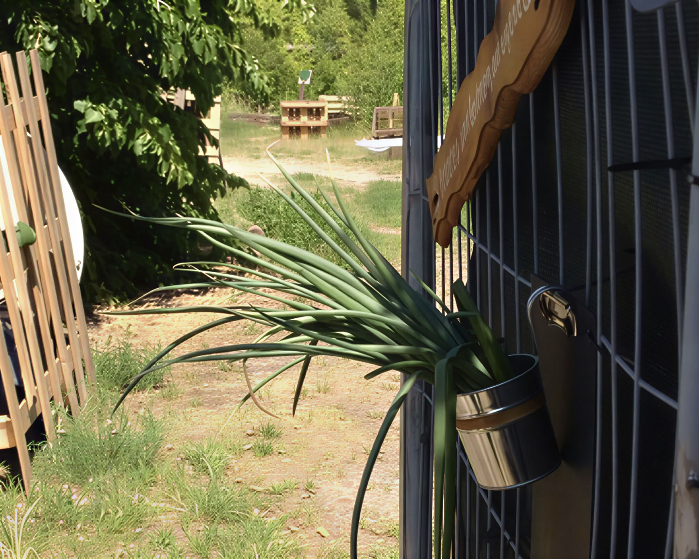 Villi hengitystyö Berliini – Hengitysmatka taivaan alla