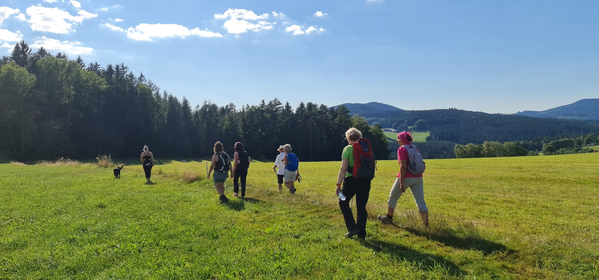Joogadetoksiretriitti vaelluksella Kloster Waldbreitbachissa
