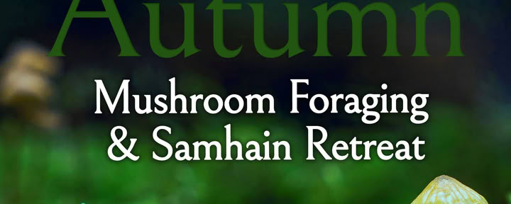 Syksyinen Samhain-keruuretreat