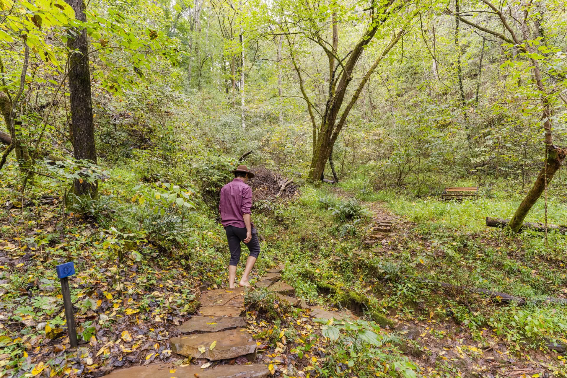 Jooga- ja vaellusretriitti | Smoky Mountainsin joogaretriitti — Seven Springs