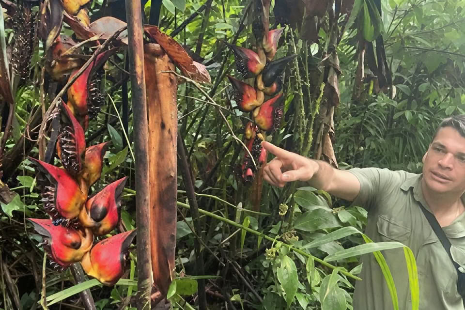 5 päivän / 4 yön jooga- ja meditaatioretriitti Tamarindossa, Costa Ricassa