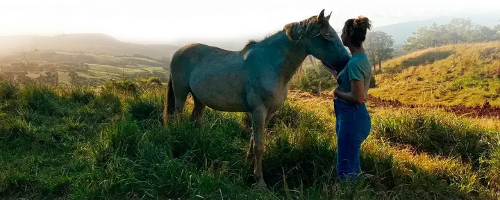 Villi sisällä