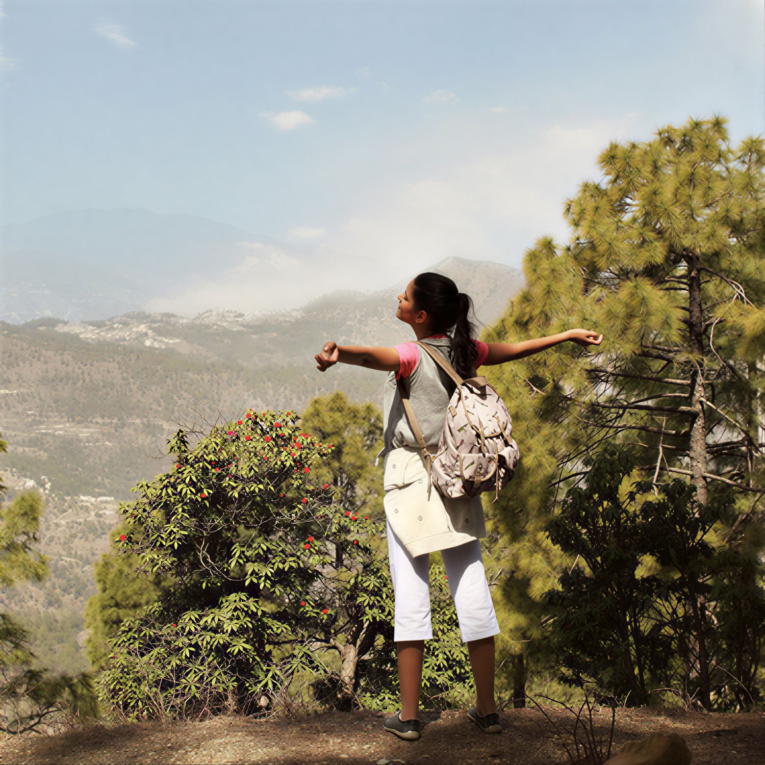 Ananda Himalajalla