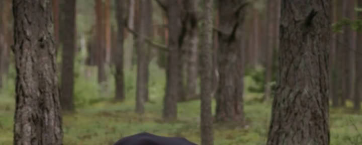 Hengitä Power Yoga