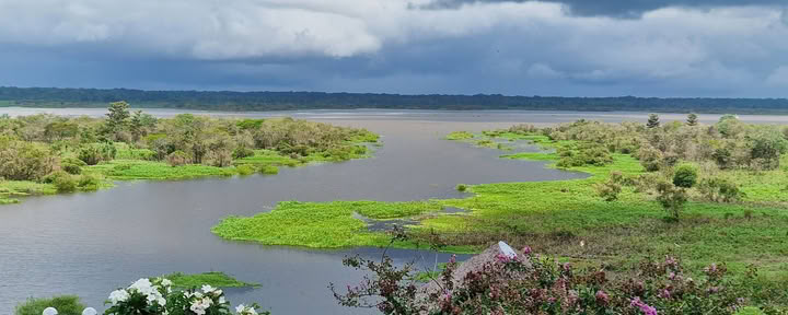 Ayahuasca-retriitti Perussa